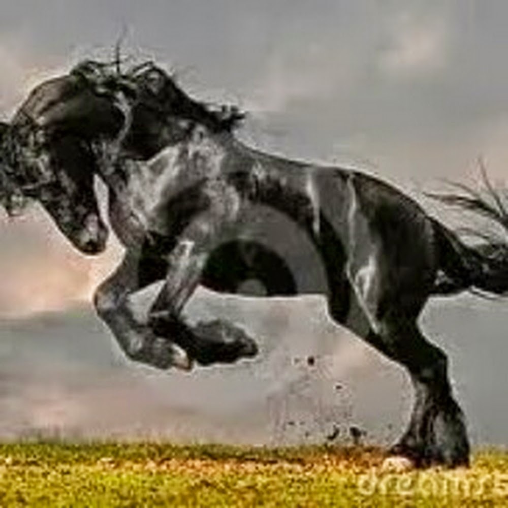 Meet your Posher, Lish